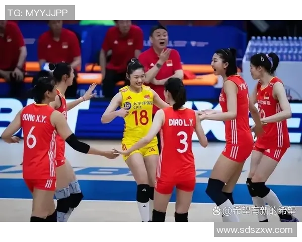 成都排球队进攻体系解析与排球战术创新研究