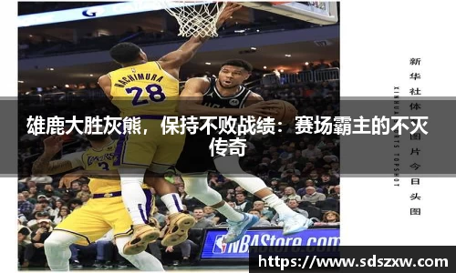 乐动LDSports体育