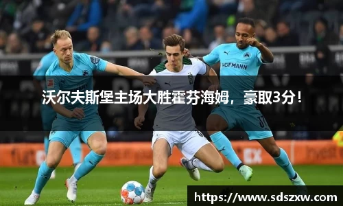 沃尔夫斯堡主场大胜霍芬海姆，豪取3分！