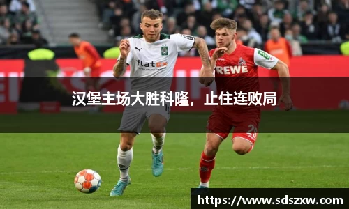 乐动LDSports