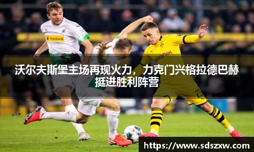 乐动LDSports