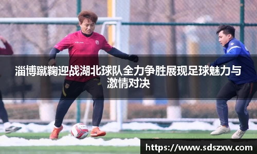 乐动LDSports官网