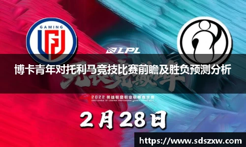 乐动LDSports官网