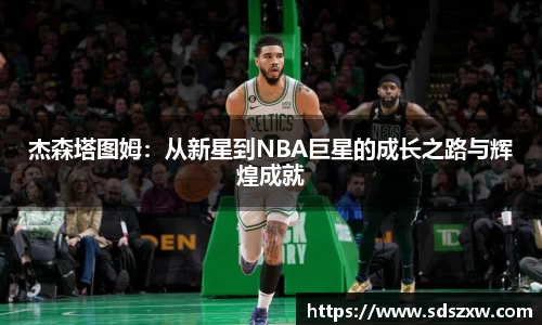 乐动LDSports官网