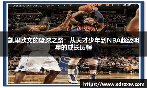 乐动LDSports官网