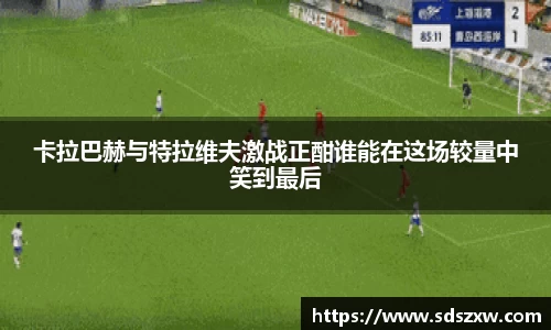 乐动LDSports体育