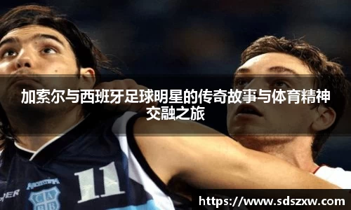 乐动LDSports官网