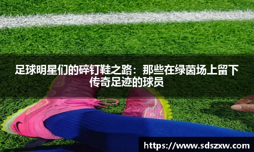 乐动LDSports官网