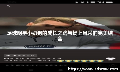乐动LDSports体育