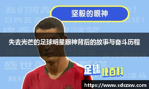 乐动LDSports官网