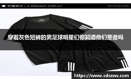 乐动LDSports综合体育